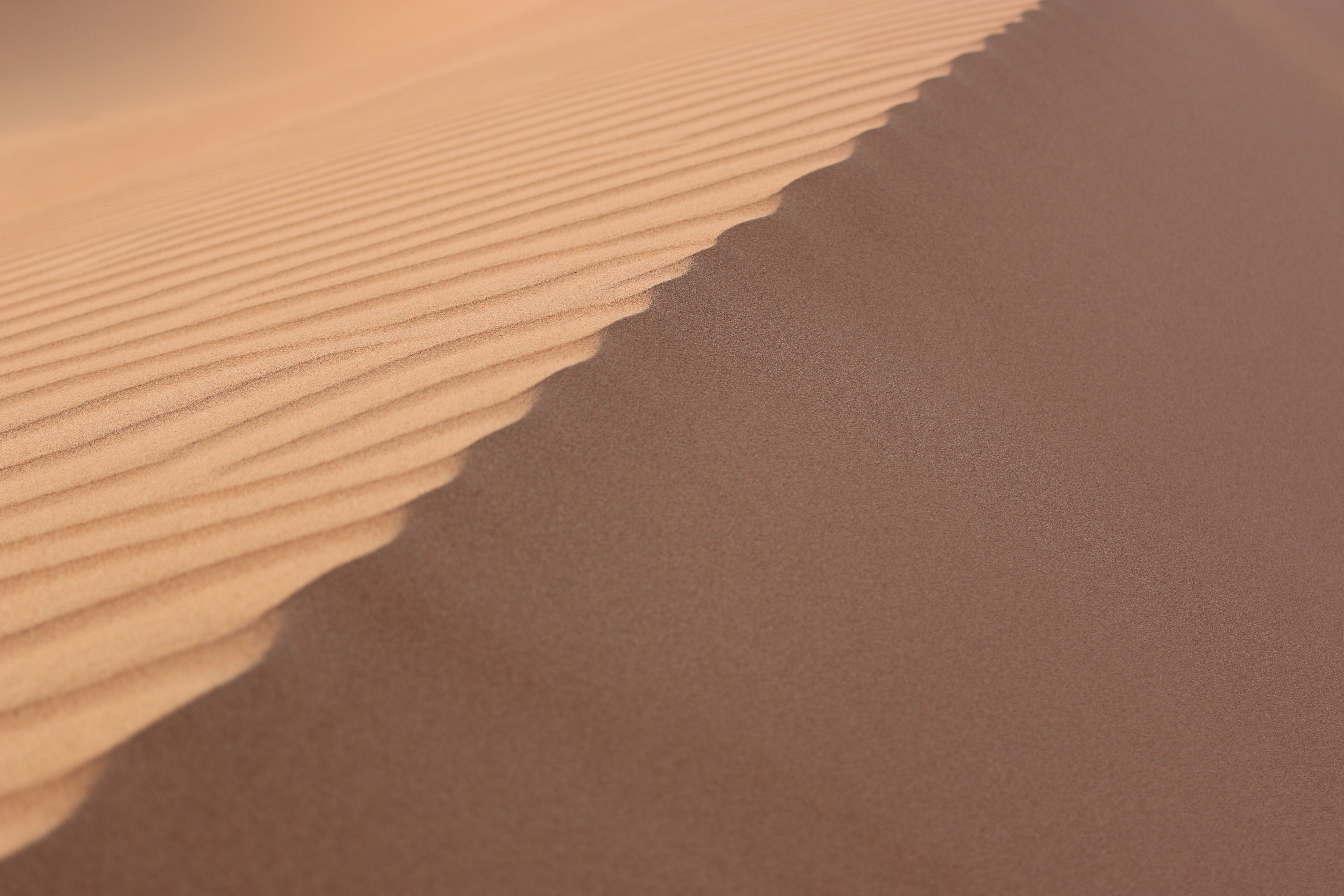 Sand dunes