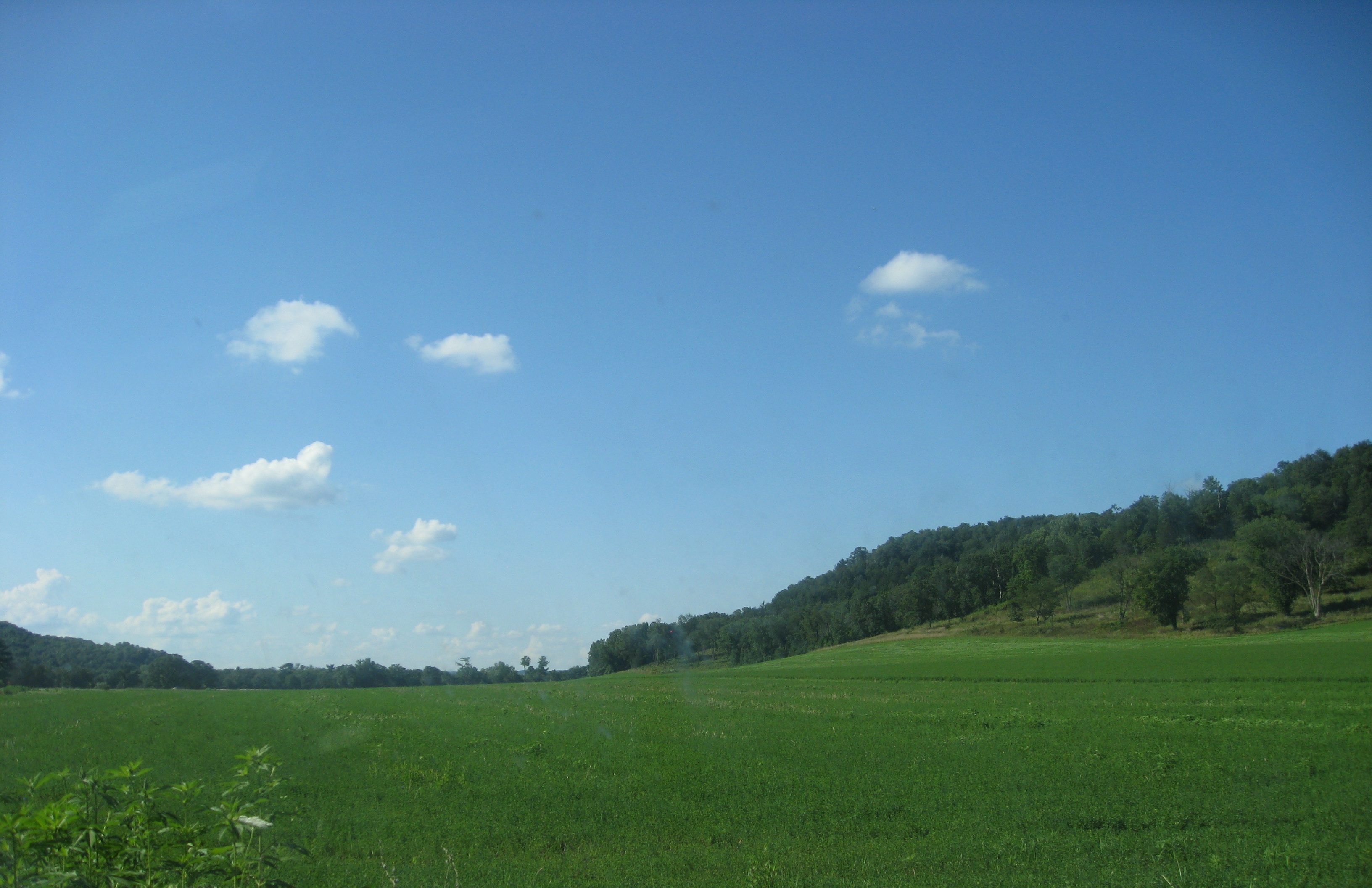 Illinois landscape