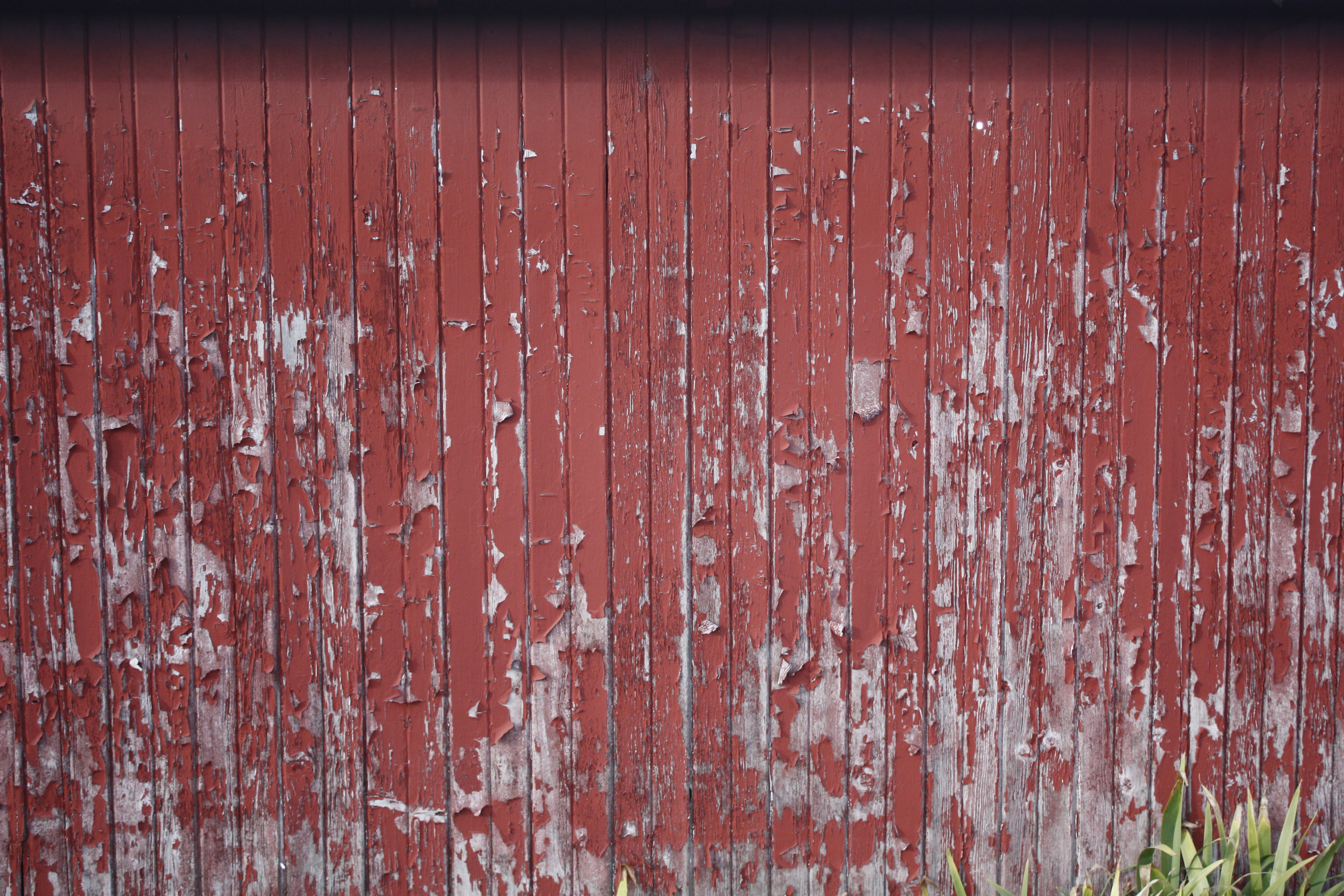 Peeling red barn