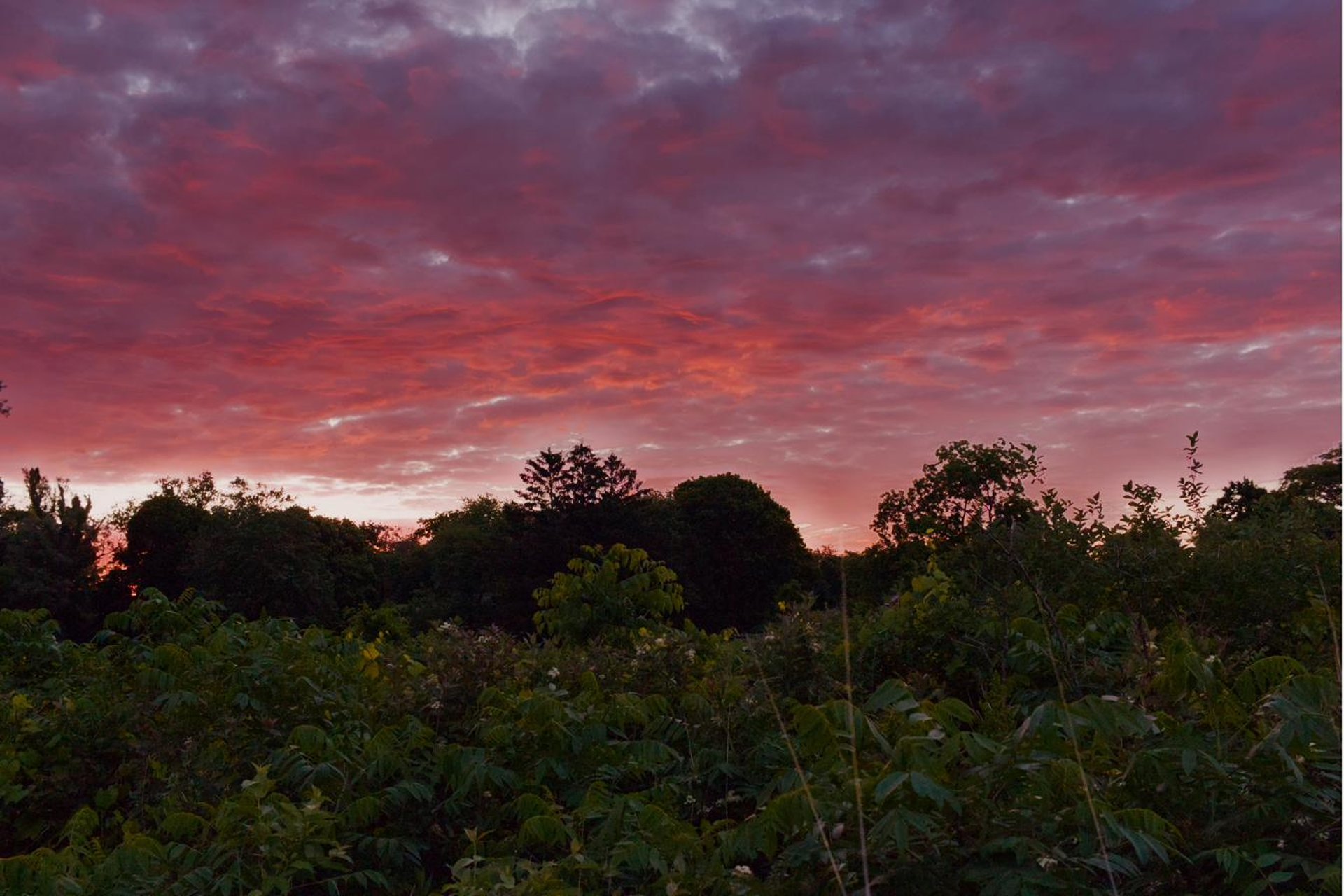 Magenta sunrise over prairie silhouette