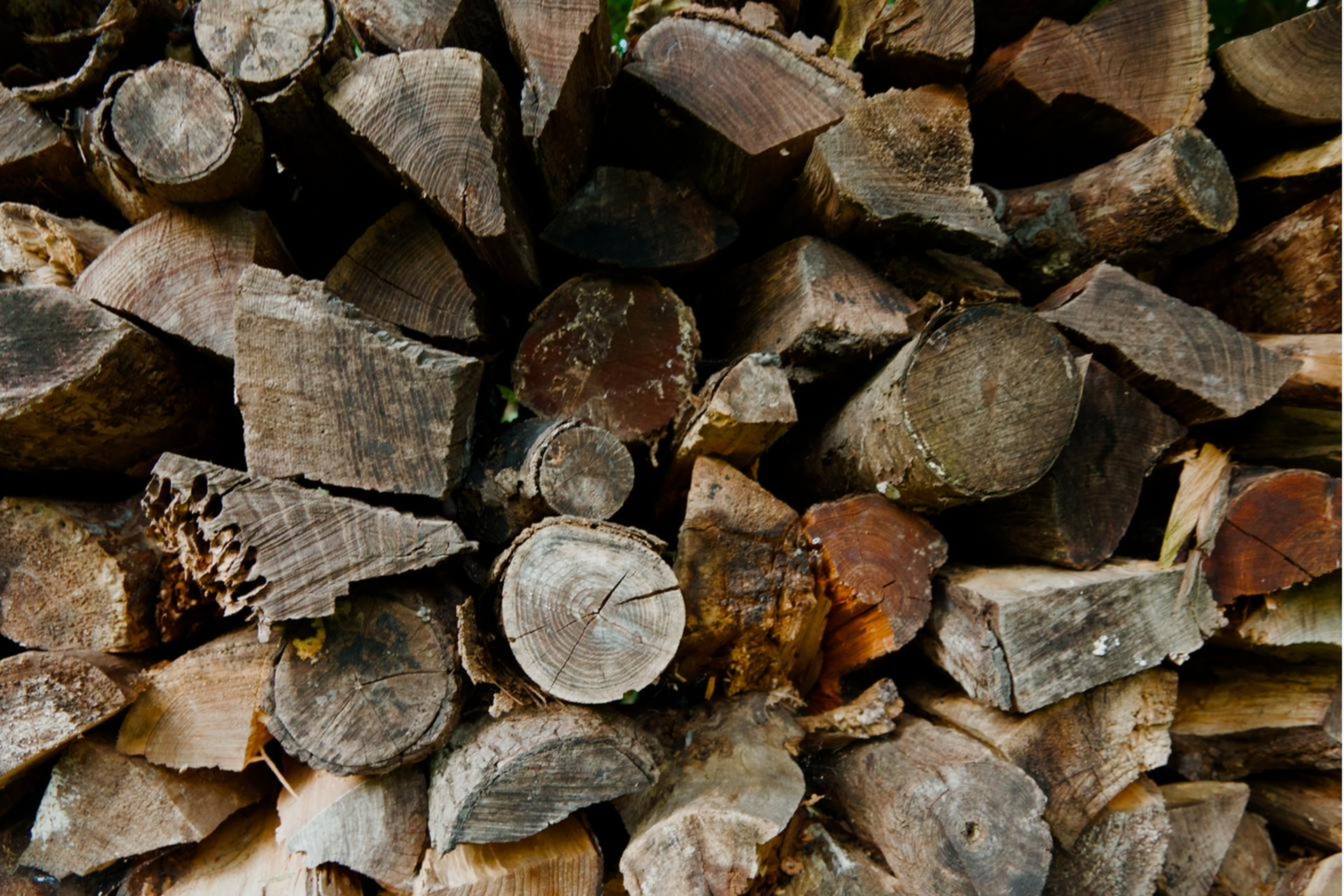 Stacked firewood cross-sections