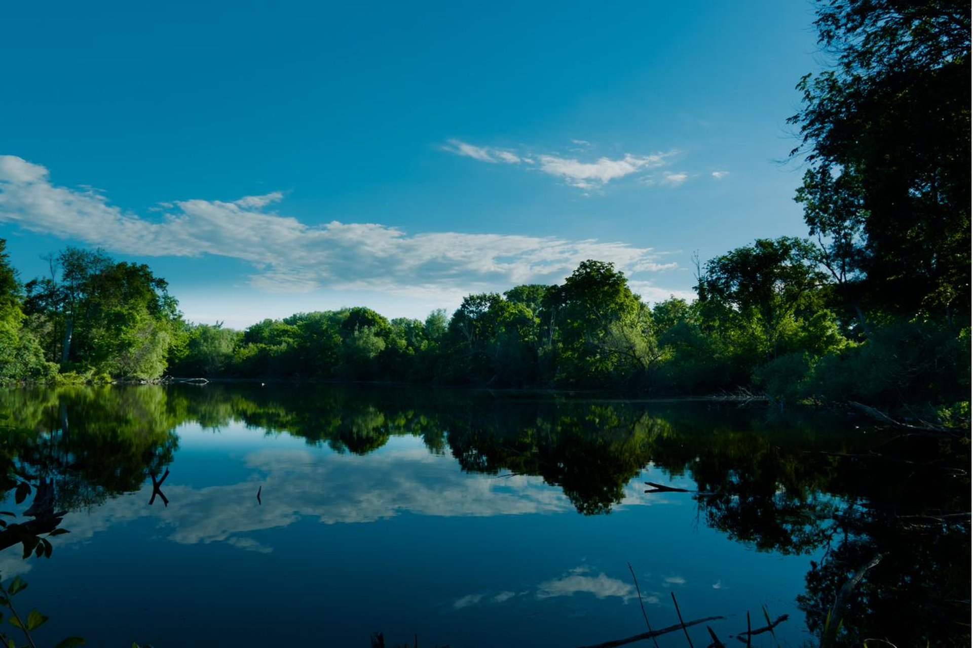 Perfect pond reflection of sky and treeline