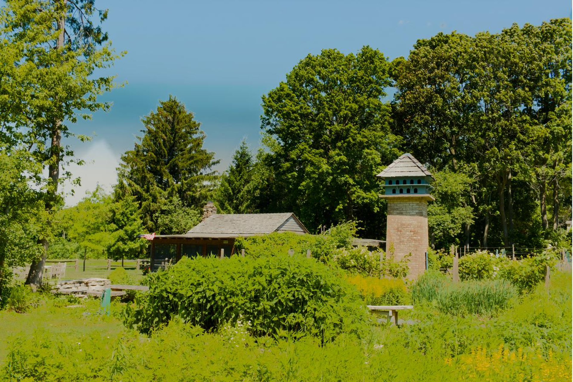Dovecote and garden outbuilding in afternoon light