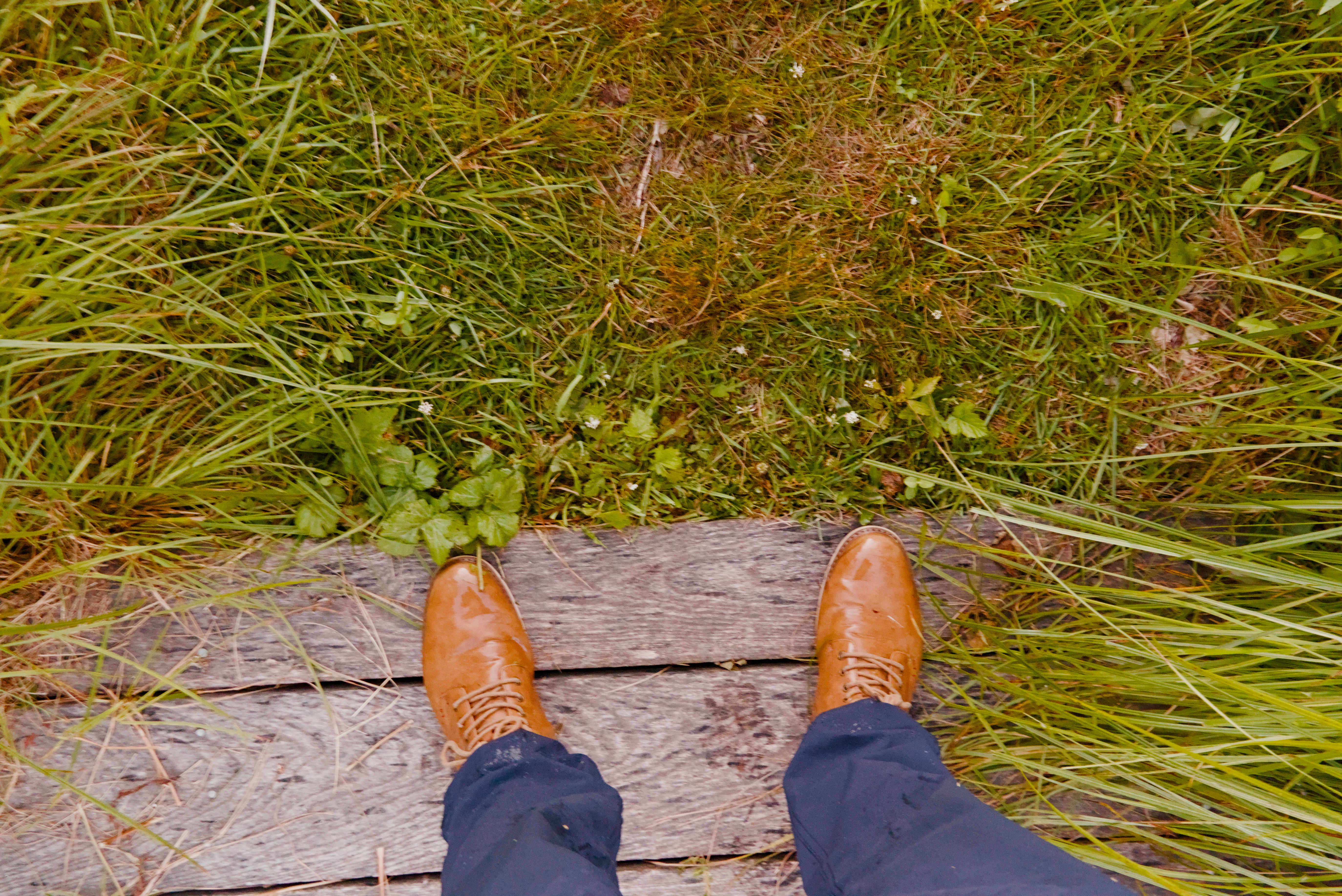 Boots standing on a wooden boardwalk in tall grass