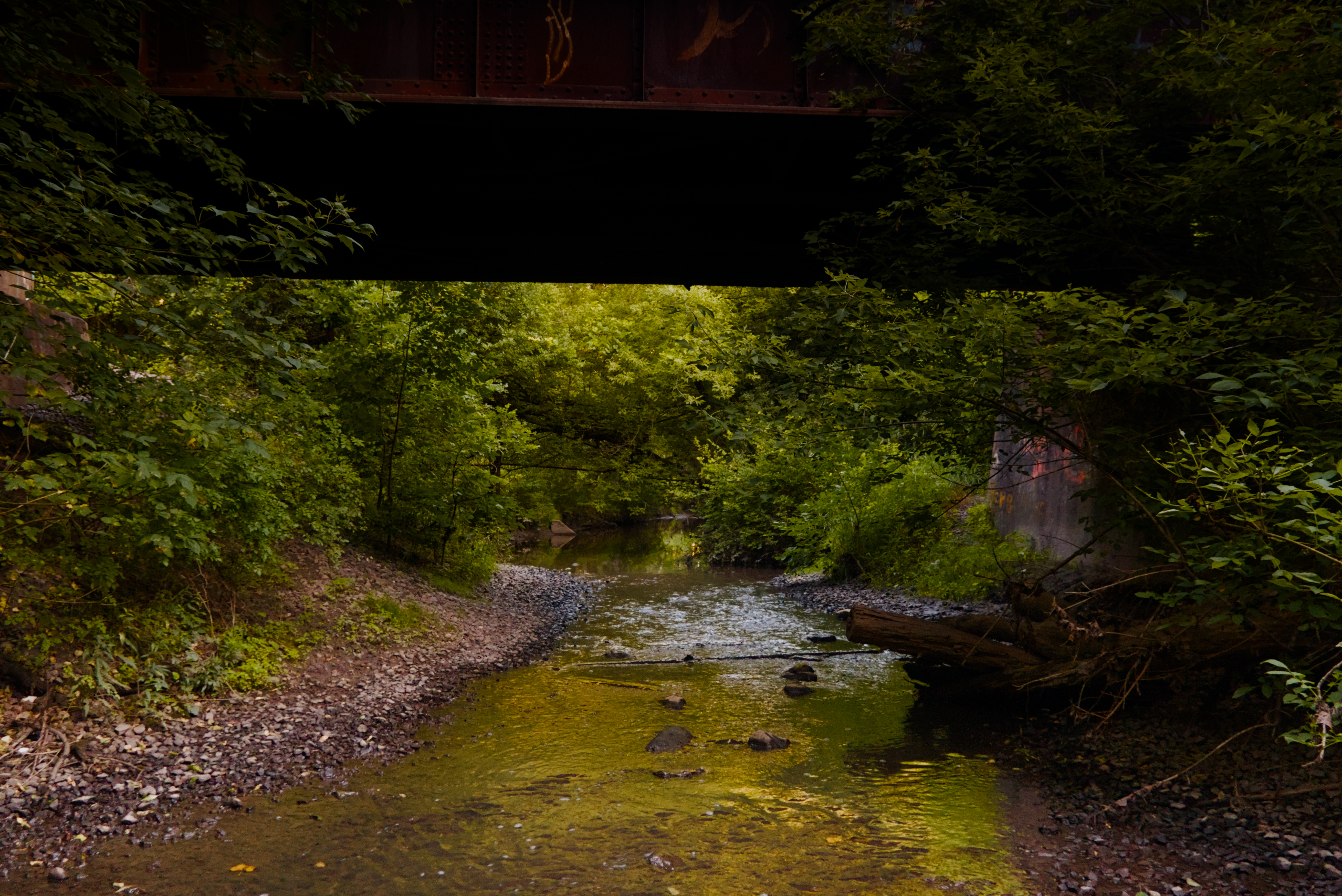 Creek running beneath a railroad bridge